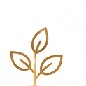 REFLECT icon
